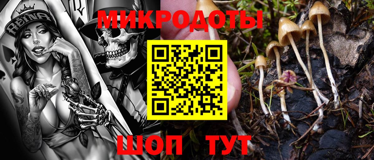 Галлюциногенные грибы Magic Shrooms  Вход с VPN  Саянск 